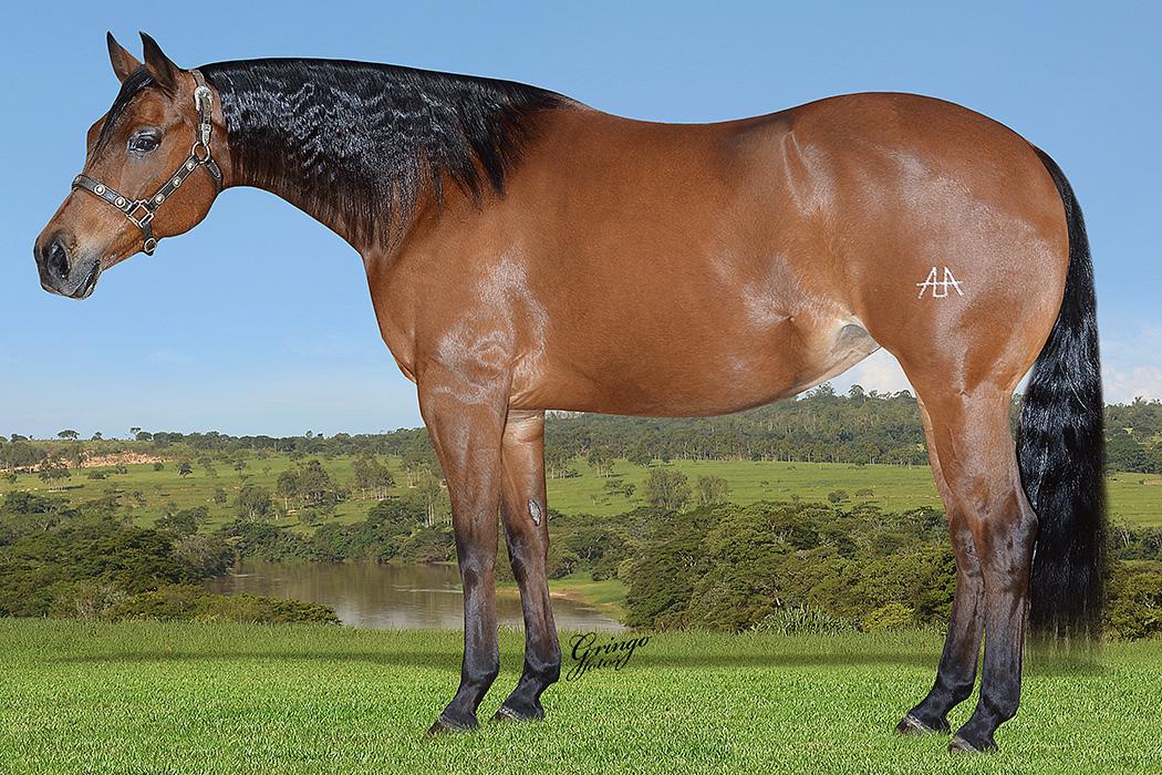 【CSR】 Red Hare, Unrivaled Stallion - EVP CSR】 Red Hare, Unrivaled Stallion - EVP Red Hare, Unrivaled